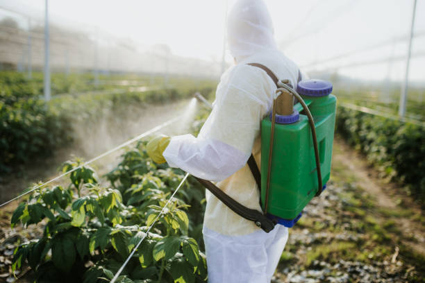 Pest Control Cost in Palm Beach Shores, FL